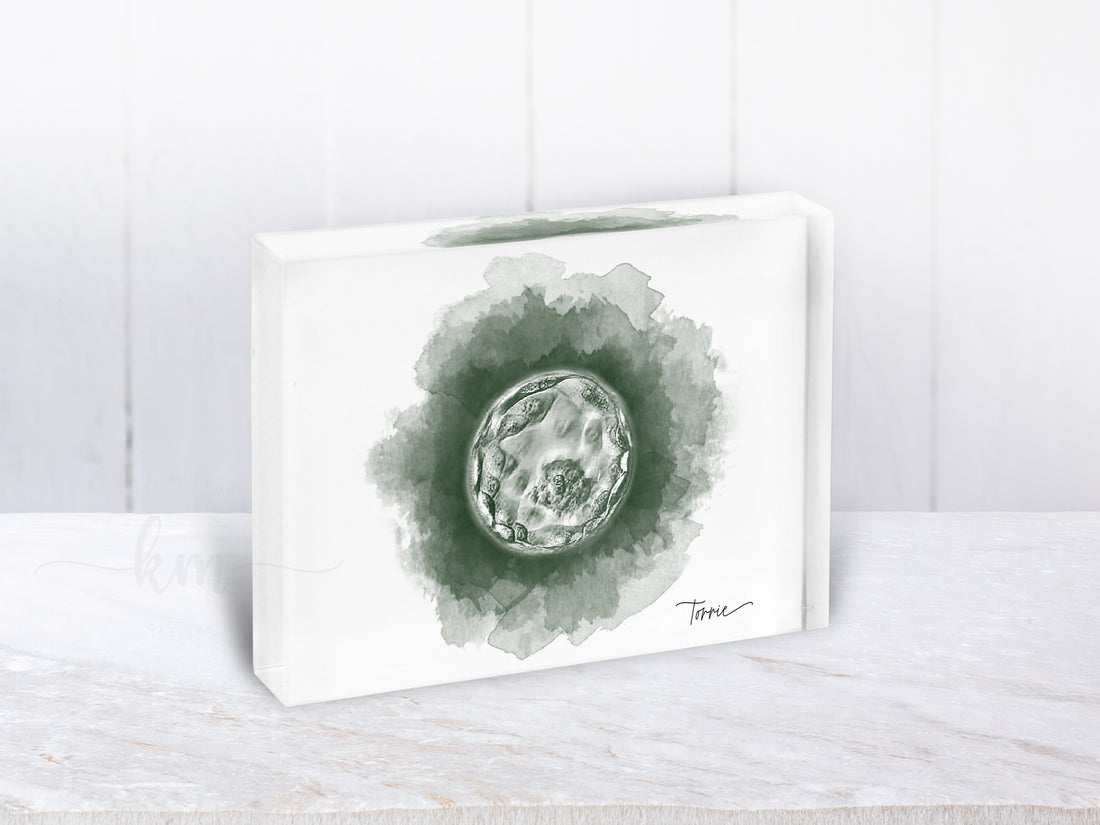 Most popular custom art for new moms. Personalized ultrasound art prints and IVF embryo designs