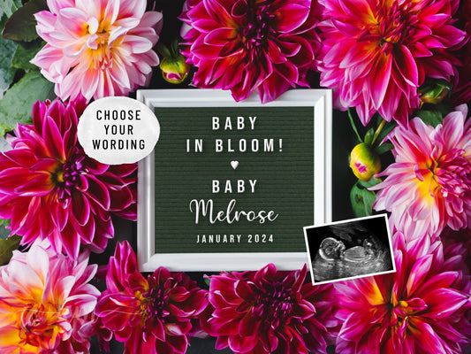 Dahlia Flowers Digital Pregnancy Announcement
