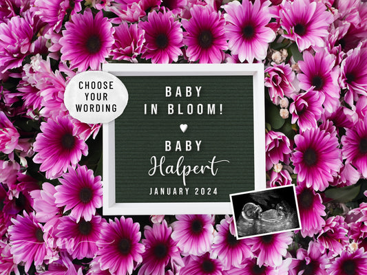 Pink Daisy Flowers Digital Pregnancy Announcement