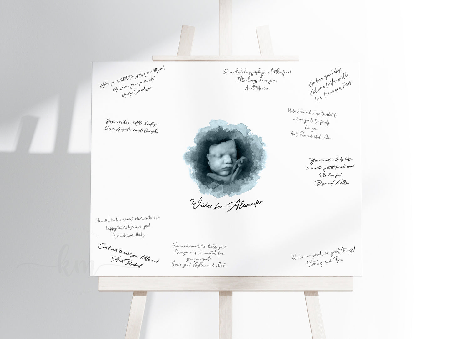 Baby Shower Guestbook Art with Pen & Ink Ultrasound