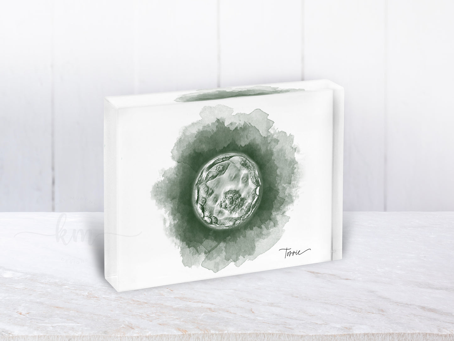 Circle Watercolor IVF Embryo Art