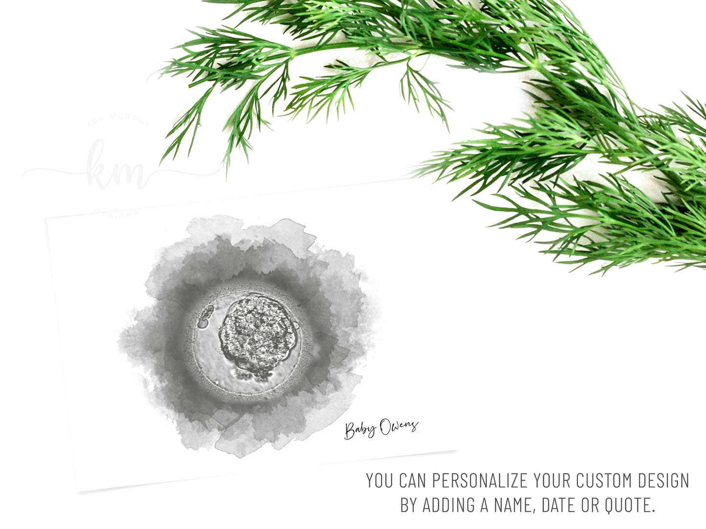 Circle Watercolor IVF Embryo Art