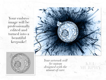 Load image into Gallery viewer, Dandelion IVF Embryo Art Wish Painted Before and After
