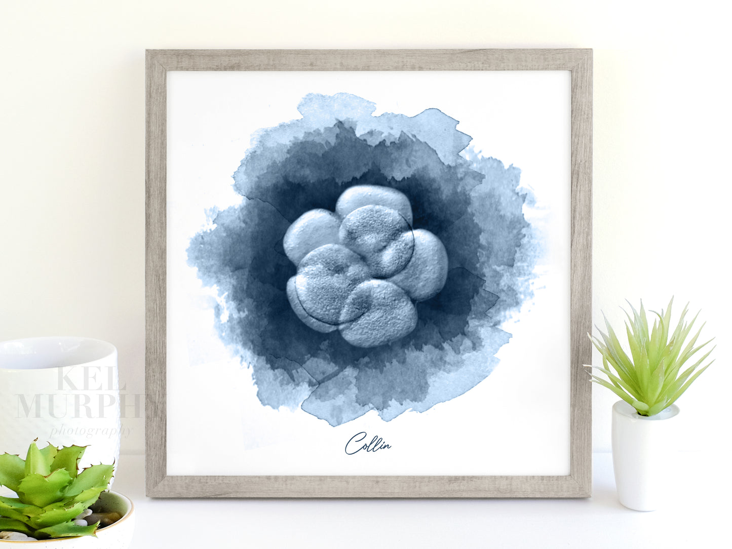 IVF Embryo watercolor art print custom new mom gift fertility framed