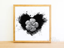 Load image into Gallery viewer, IVF Embryo embaby watercolor heart art print pen and ink framed fertility gift
