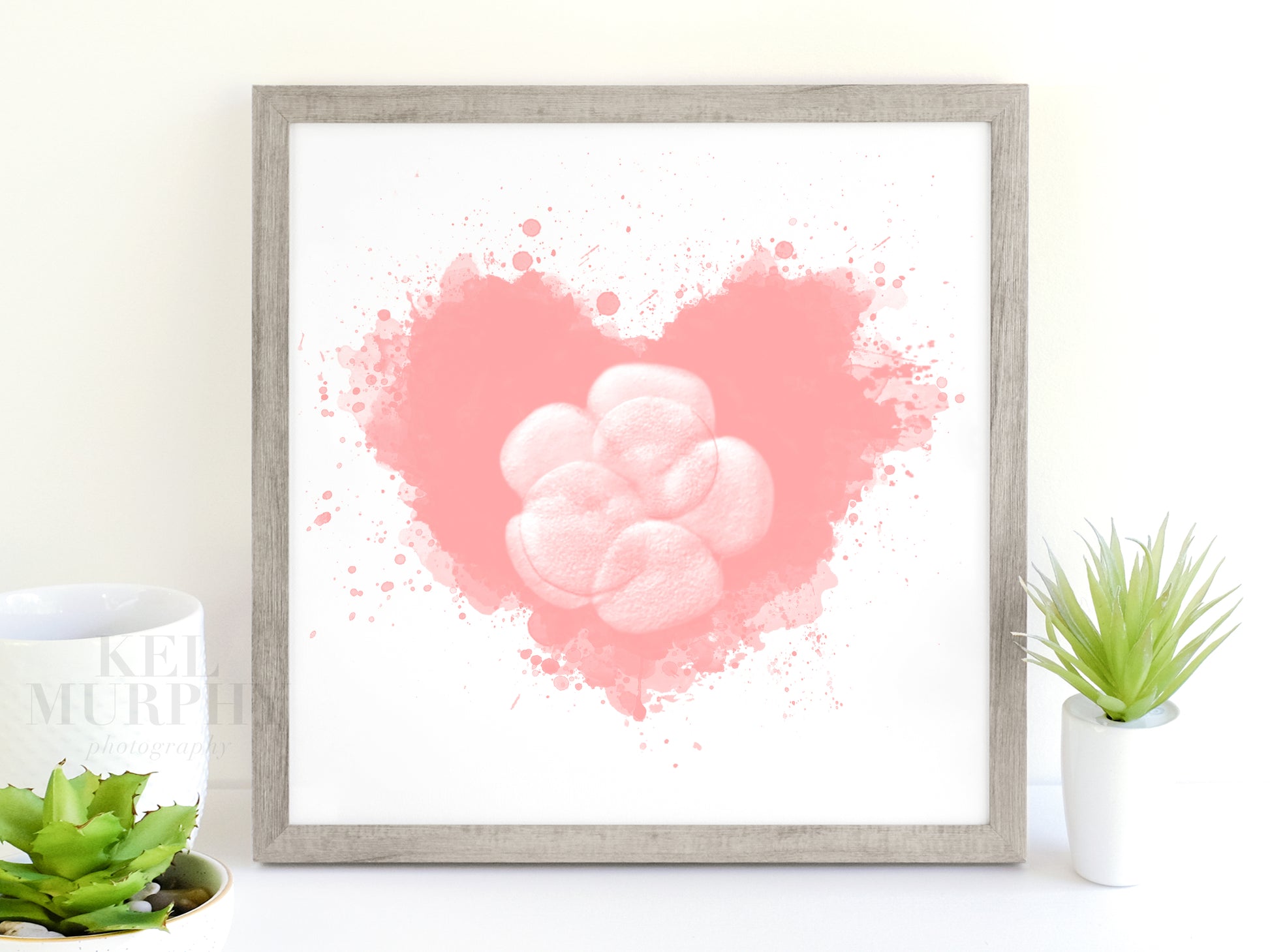 IVF embryo watercolor art print heart framed gift fertility