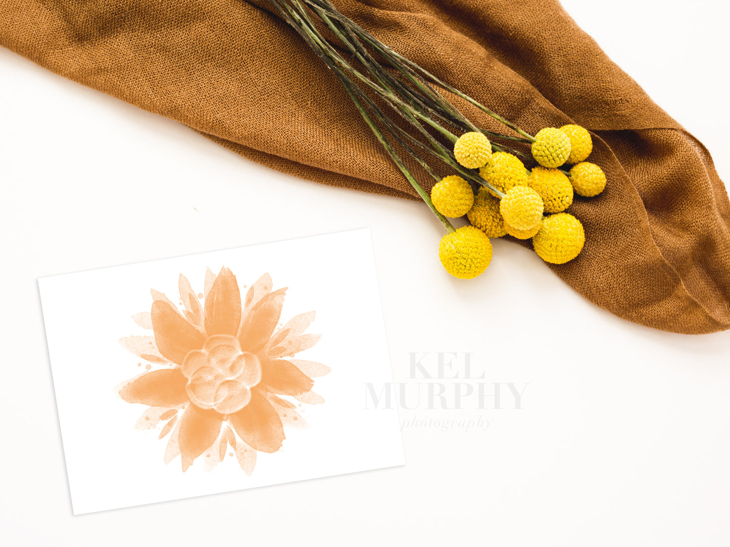 IVF fertility embryo art print watercolor flatlay